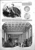 Old Egyptian Gallery British Museum Medieval Plates Mallre Bird 1854 Victorian