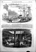 Original Old Antique Print Slinging Artillery Horses Embarkation HVessel 1854