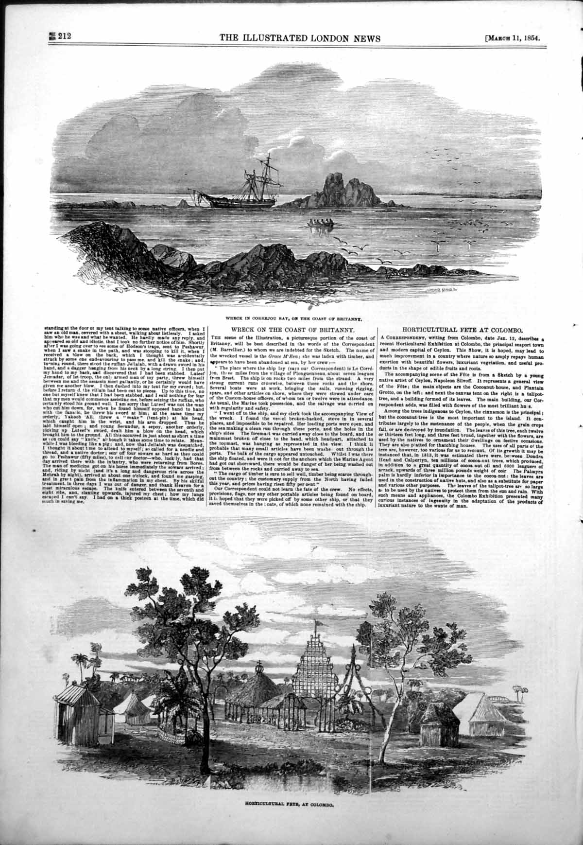 Original Old Antique Print Horticultural Fete Colombo Wreck Coast Britanny 1854