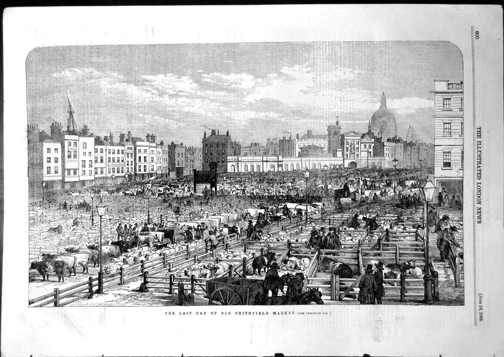 Old Antique Print Last Day Smithfield Market Cattle Sheep Pigs Pens 1855 19th