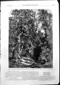 Antique Old Print Belted Wills Tower Naworth William Bennett Trees Tower 1855