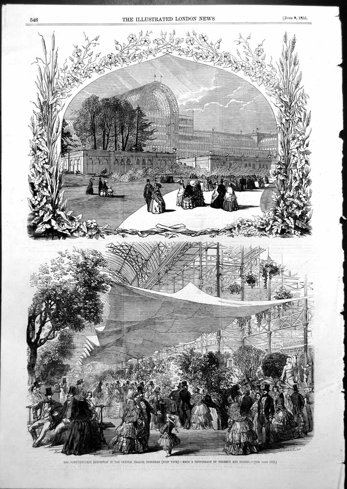 Old Print Horticultural Exhibition Crystal Palace Sydenham Negretti 1855 19th