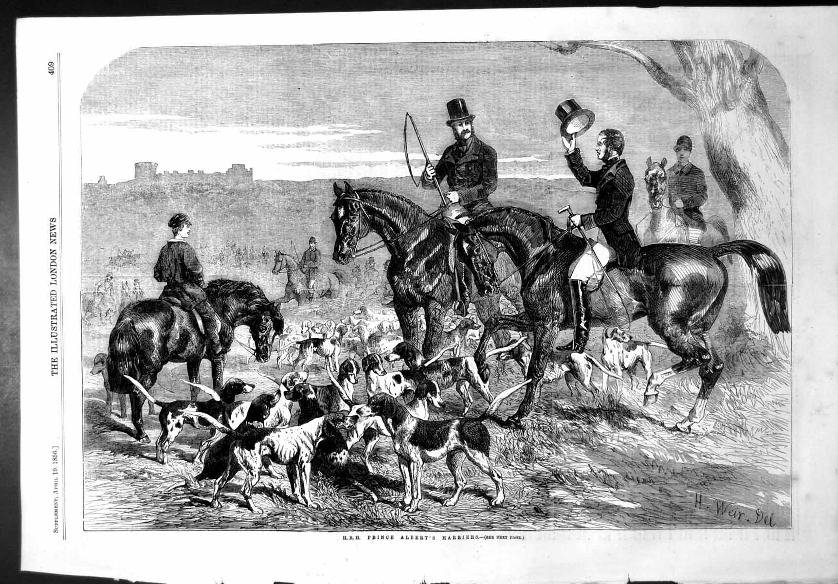 Old Print Hrh Prince Alberts Harriers Hunting Windsor Horses Hounds 1856 19th