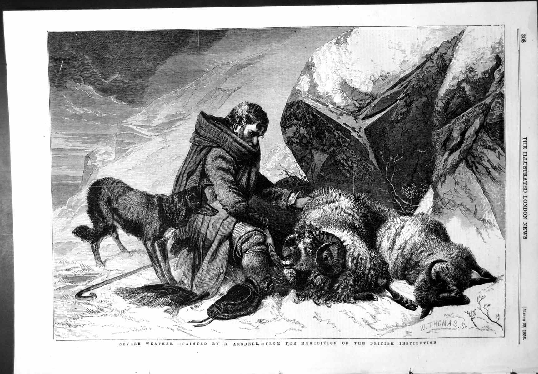 Old Antique Print Severe Weather R Ansdell Shepherd Sheep Dog Storm 1856 19th