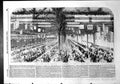 Antique Print Dinner Given Marchioness Londonderry Pitmen Chilton Moor1856 19th