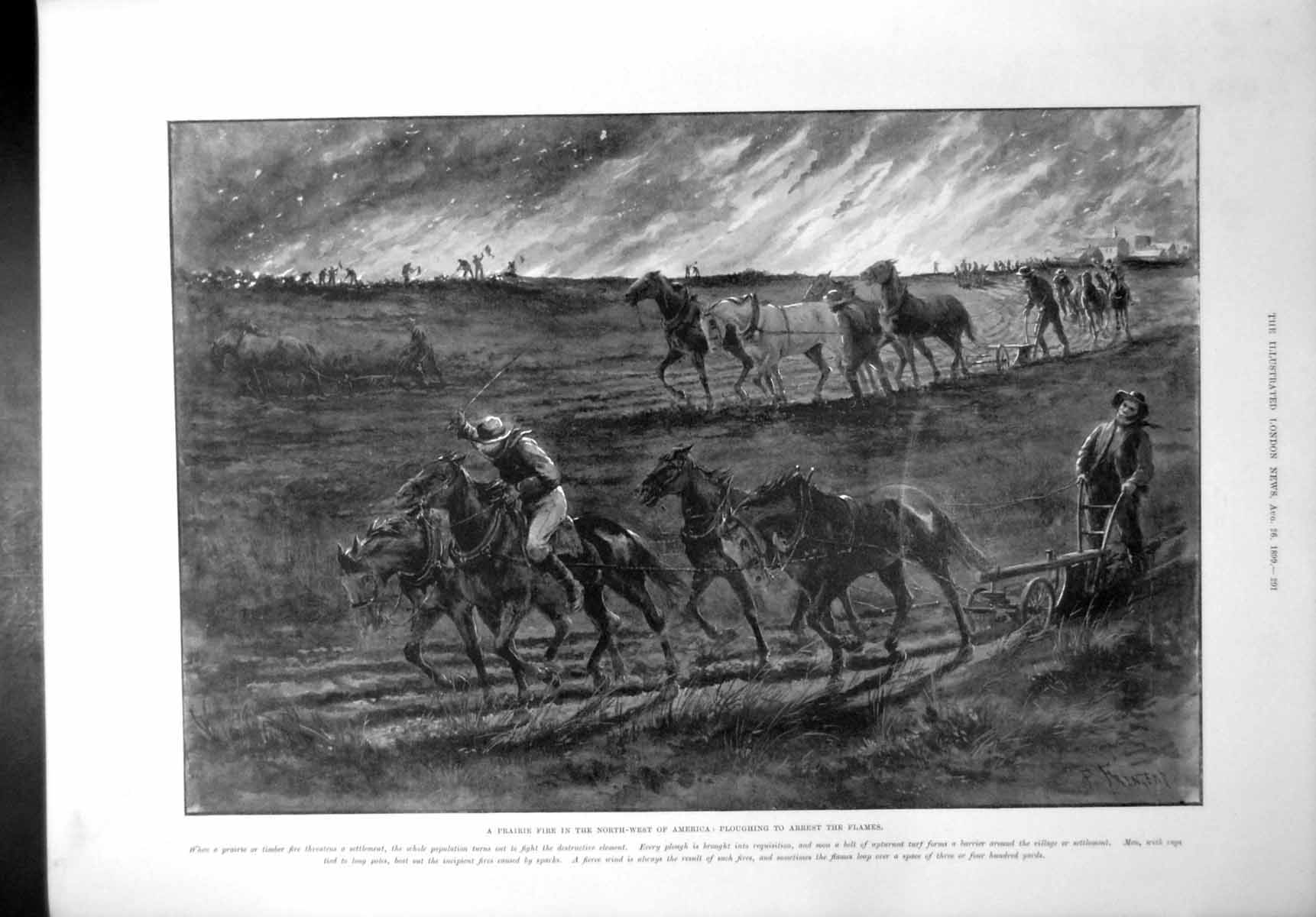 Antique Print Prairie Fire North West America Ploughing Arrest Flames 1899 19th