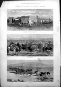 Antique Print Ostrich Farming South Africa Heatherton Towers Mustering1878 19th