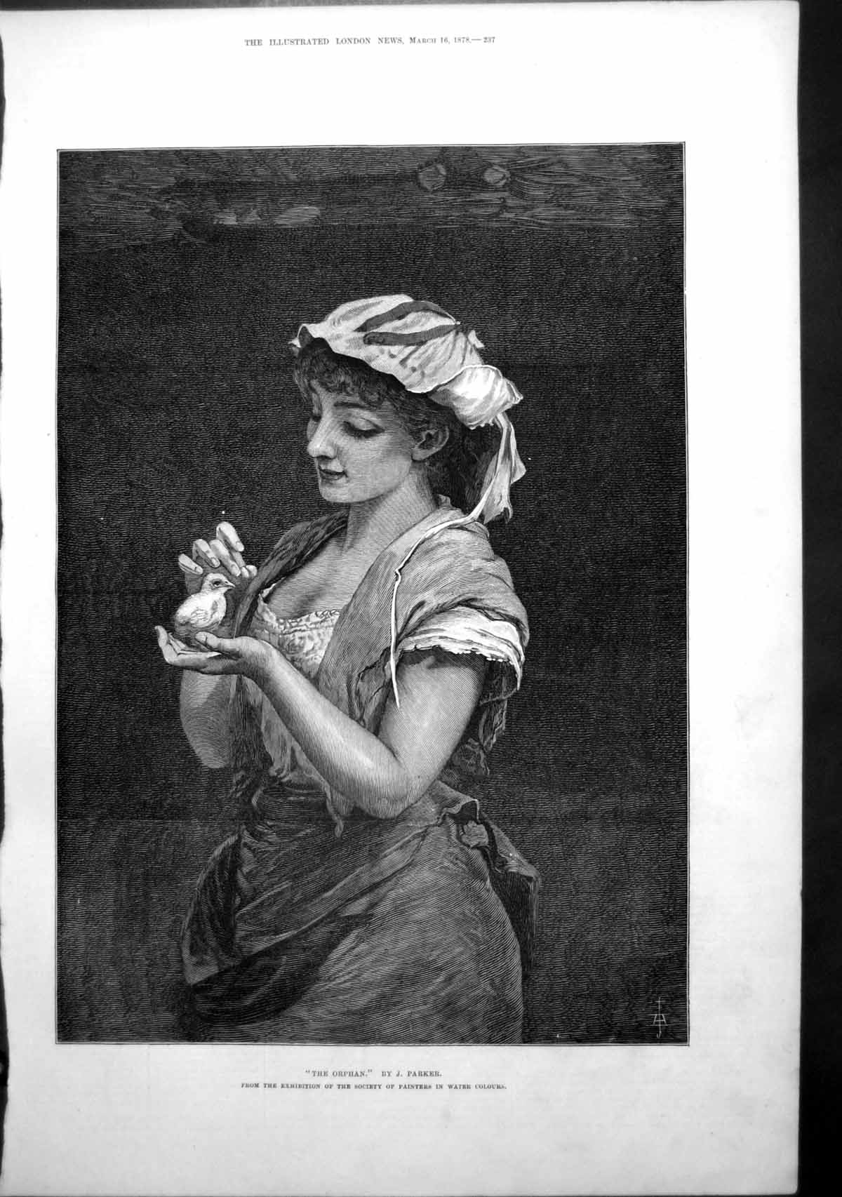 Original Old Antique Print Orphan J Parker Young Girl Nursing Chicken 1878 19th
