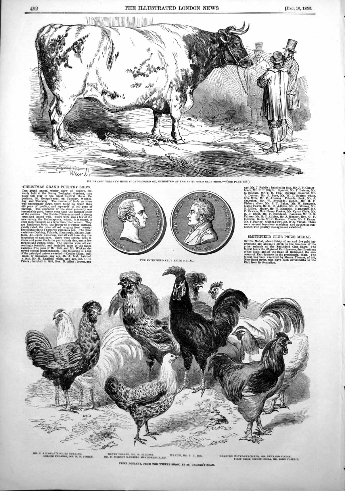 Old Antique Print Smithfield Cattle Show Poultry Show Large Rabbit 1853 19th