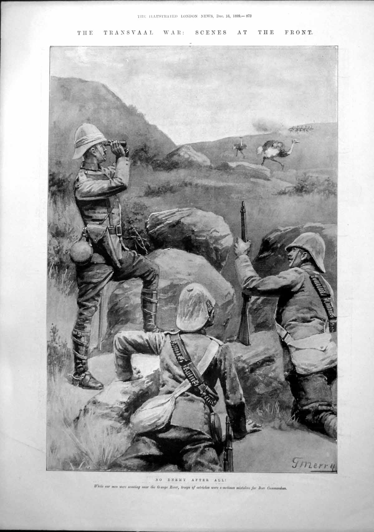 Antique Old Print Transvaal War Ostriches Estcourt Sunday General Murray 1899