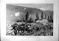 Antique Old Print Transvaal War Ox Team Ladysmith Modder River Methuen 1899