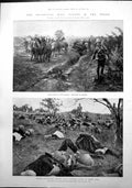 Old Antique Print Transvaal War Trasport Trouble Gordon Highlanders 1899 19th