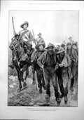 Antique Old Print Boer Prisoners Col Neeld HousehCavalry Queen Windsor 1899