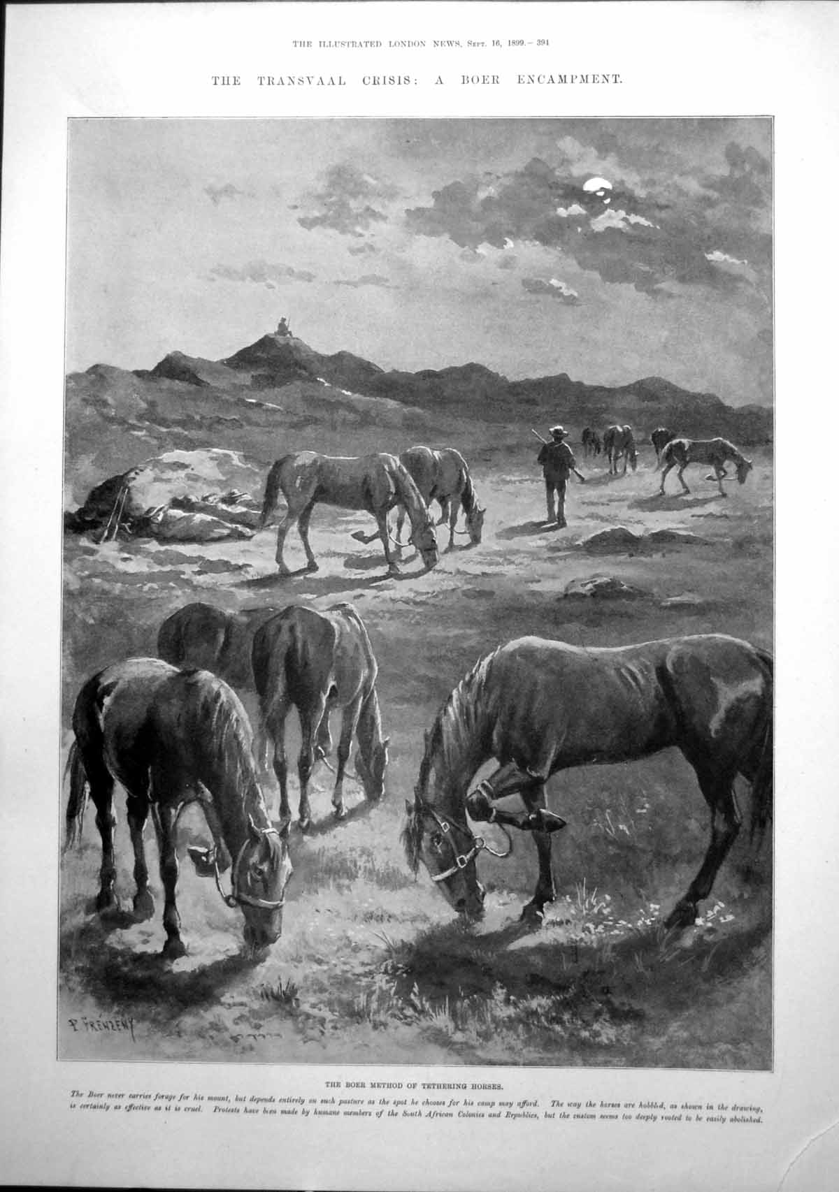 Antique Old Print Transvaal Boers Tethering Horses Dragoon Guards Greys 1899