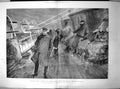 Old Antique Print General Sir Redvers Buller Facing Gale Bay Biscay 1899 19th