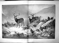 Original Old Antique Print Children Mist Henry Stannard Deer Stags Grouse 1899