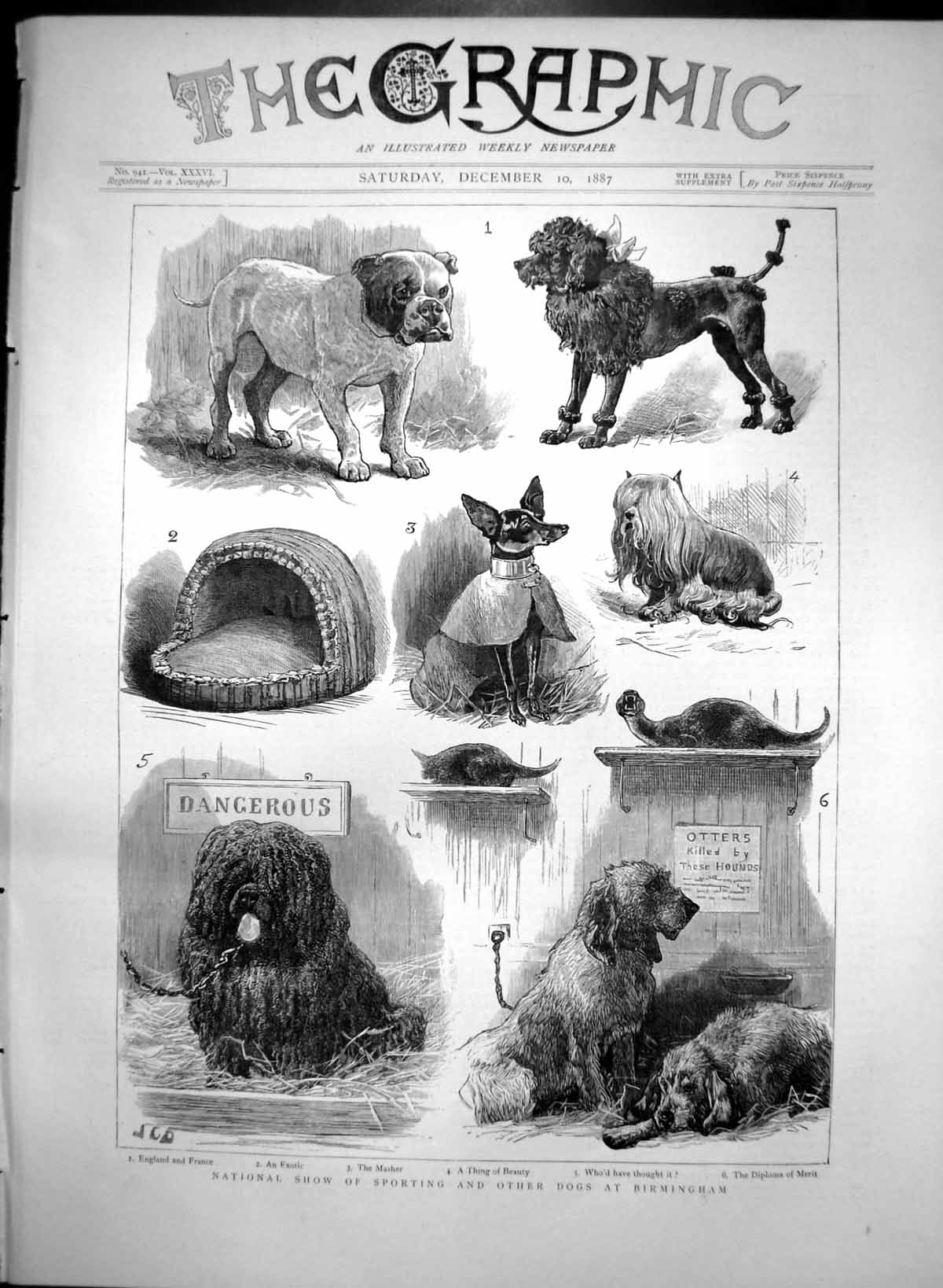 Original Old Antique Print National Show Sporting Other Dogs Birmingham 1887