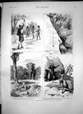 Old Print Visit Veddahs Wild Men Ceylon Wild Elephant Veddah Axe Bear1887 19th