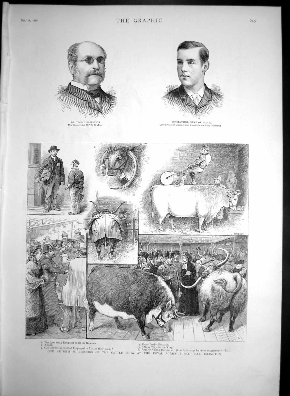 Antique Old Print Cattle Show Royal Agricultural Hall Islington Royalty 1886