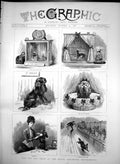 Original Old Antique Print Toy Dog Show Royal Aquarium Westminster Prizes 1886
