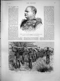 Old Print Gen Herbert Macpherson Coolies Elephants Tusks Cape Colony1886 19th