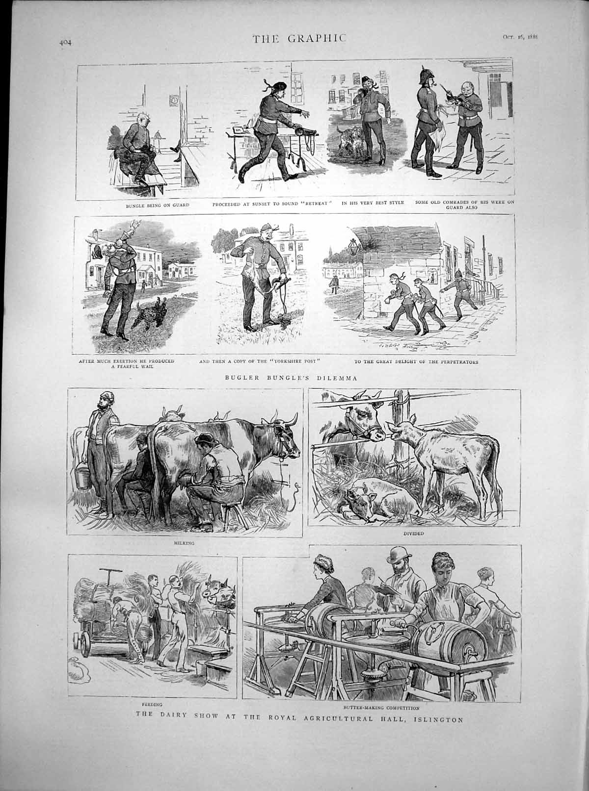 Antique Old Print Bugler Bungles Dilemma Dairy Show Agricultural Hall 1886 19th