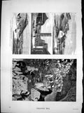 Antique Print Nobels Dynamite Manufactory Ayrshire Life Southern India 1883