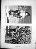 Antique Old Print Little Snowshoes Canada Visiting Cards Cape Good Hope 1883