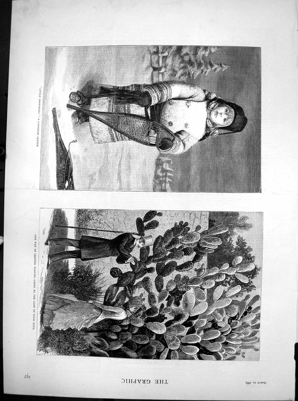 Antique Old Print Little Snowshoes Canada Visiting Cards Cape Good Hope 1883