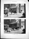 Antique Old Print Operators Corner Pork S T Dadd Dogs Butchers Pigs Head 1883