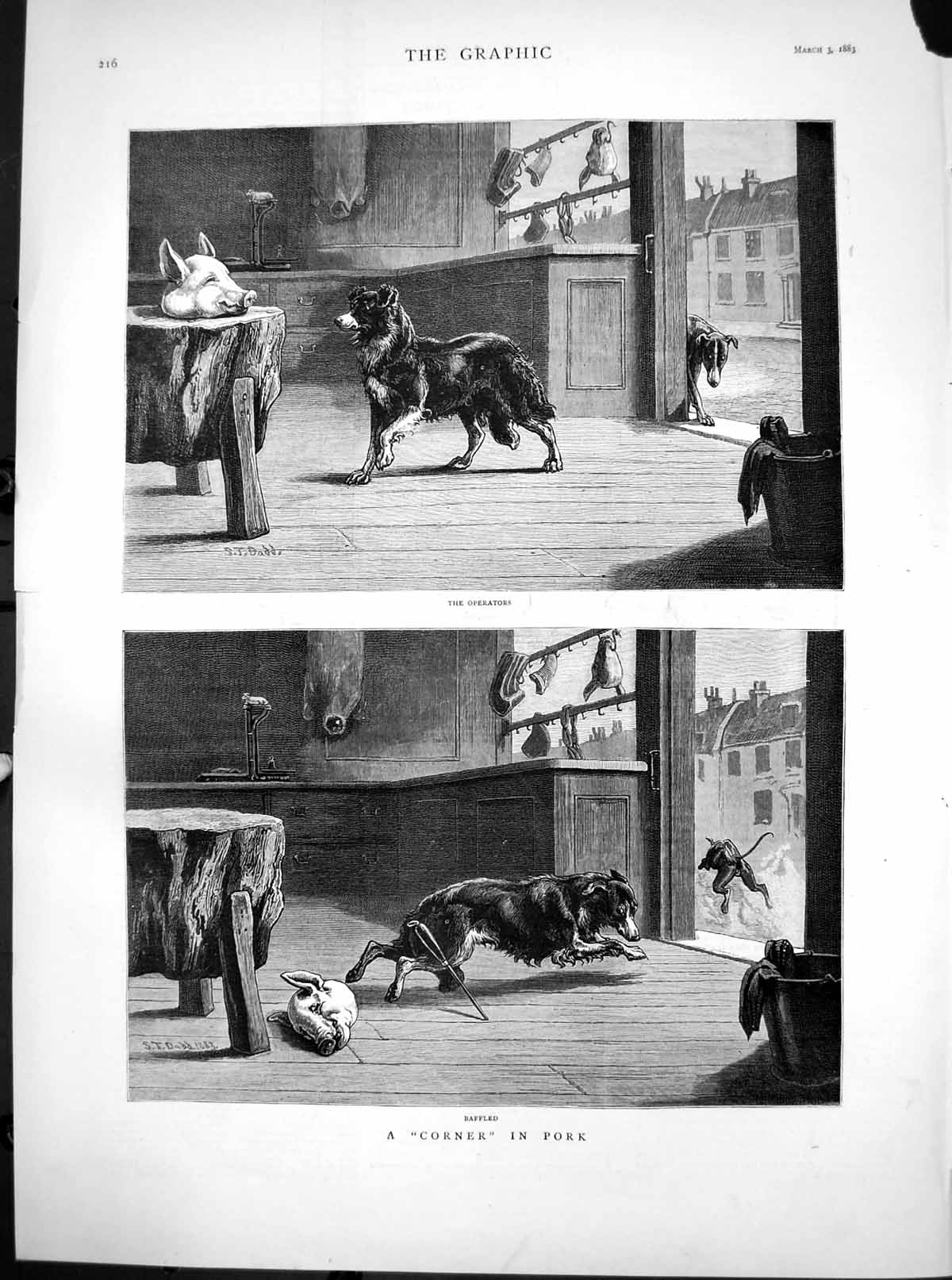 Antique Old Print Operators Corner Pork S T Dadd Dogs Butchers Pigs Head 1883