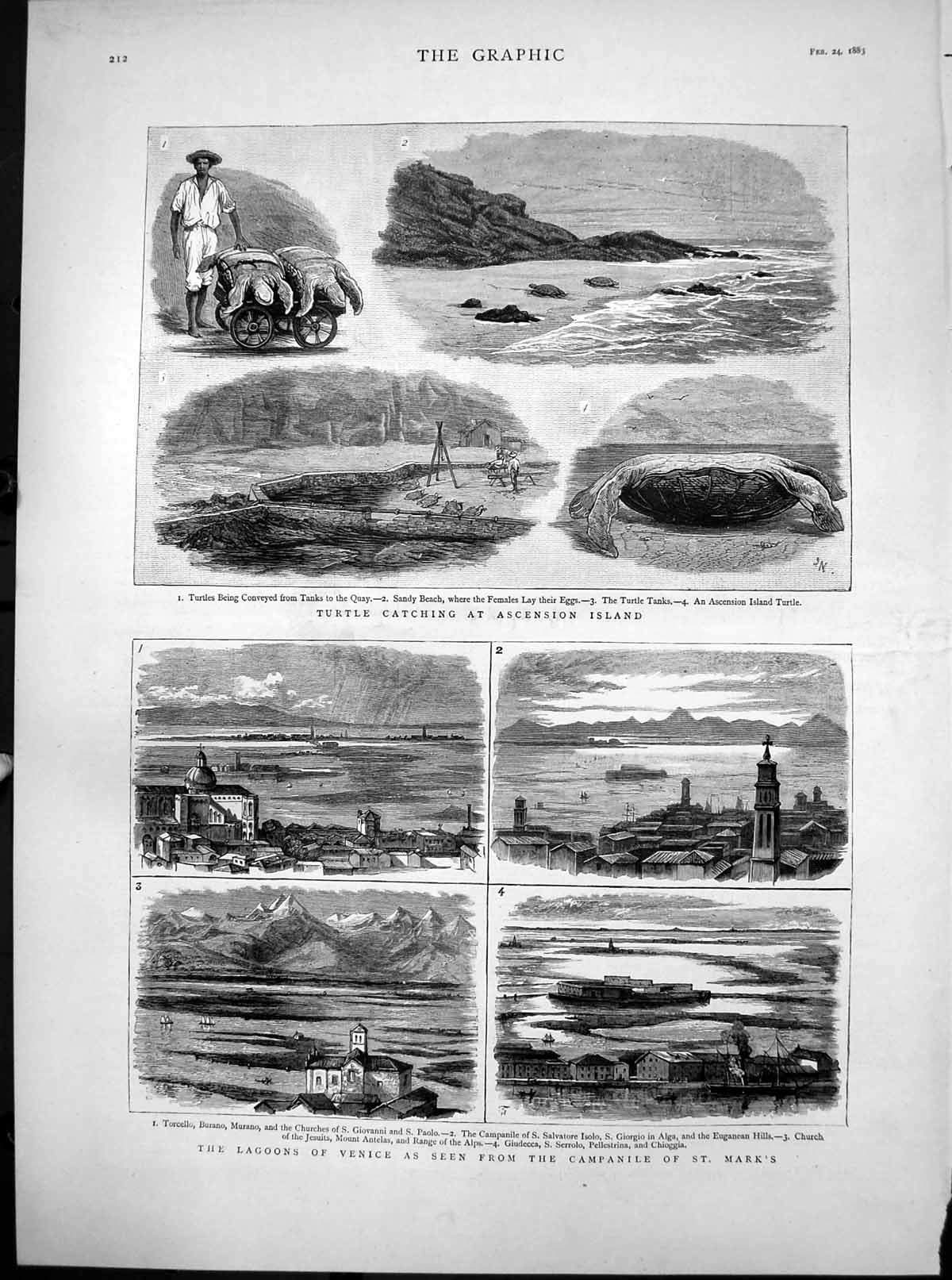 Antique Print Turtle Catching Ascension Island Lagoons Venice St Marks 1883