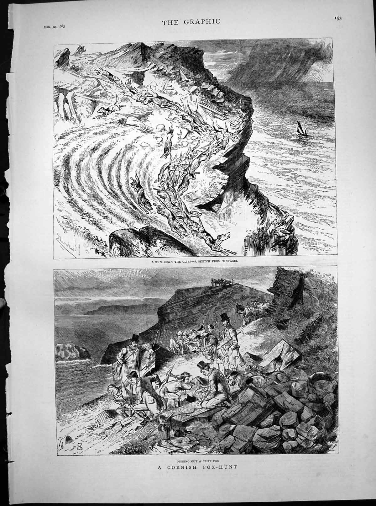 Old Print Cornish Fox Hunt Run Down Cliff Tintagel Digging Cliff Fox 1883 19th