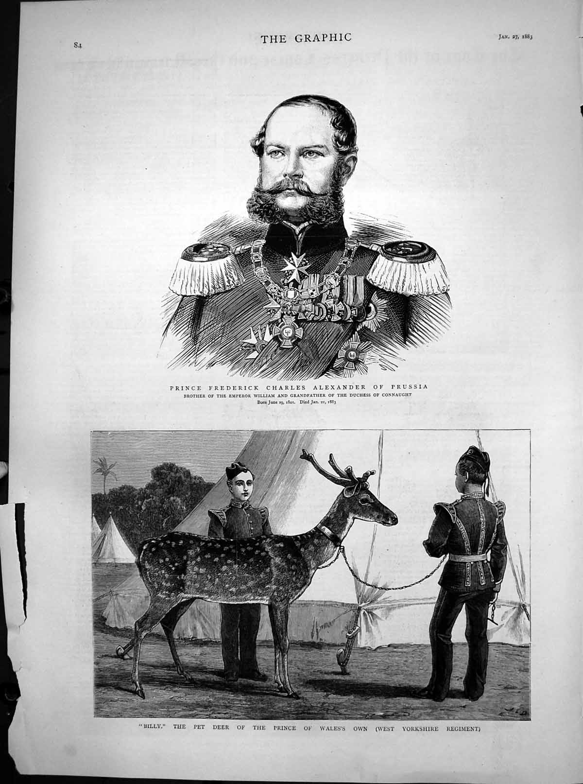 Old Print Billy Pet Deer West Yorkshire Reg Prince Frederick Prussia 1883 19th