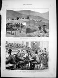 Antique Old Print Restoration Cetewayo Dunn Egypt After War Recreation 1883