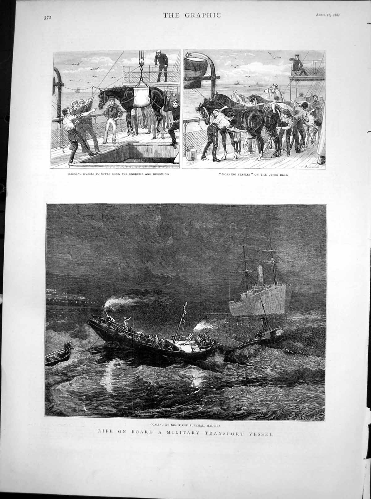 Old Antique Print Military Transport Vessel Slinging Horses Grooming 1881 19th