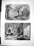 Antique Print State Forest Dandenong Victoria Indian Sketch Warm Corner1881