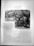 Antique Print Racing Rubber Forgiven Horse Racing Over Paddock Master 1894 19th