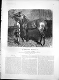 Antique Old Print Racing Rubber Spring Handicaps Horse King Dressed Down 1894