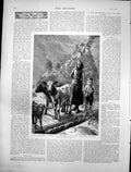 Antique Old Print Hopes Family Sydney Hall Norway Calf Goat Lady Child 1891