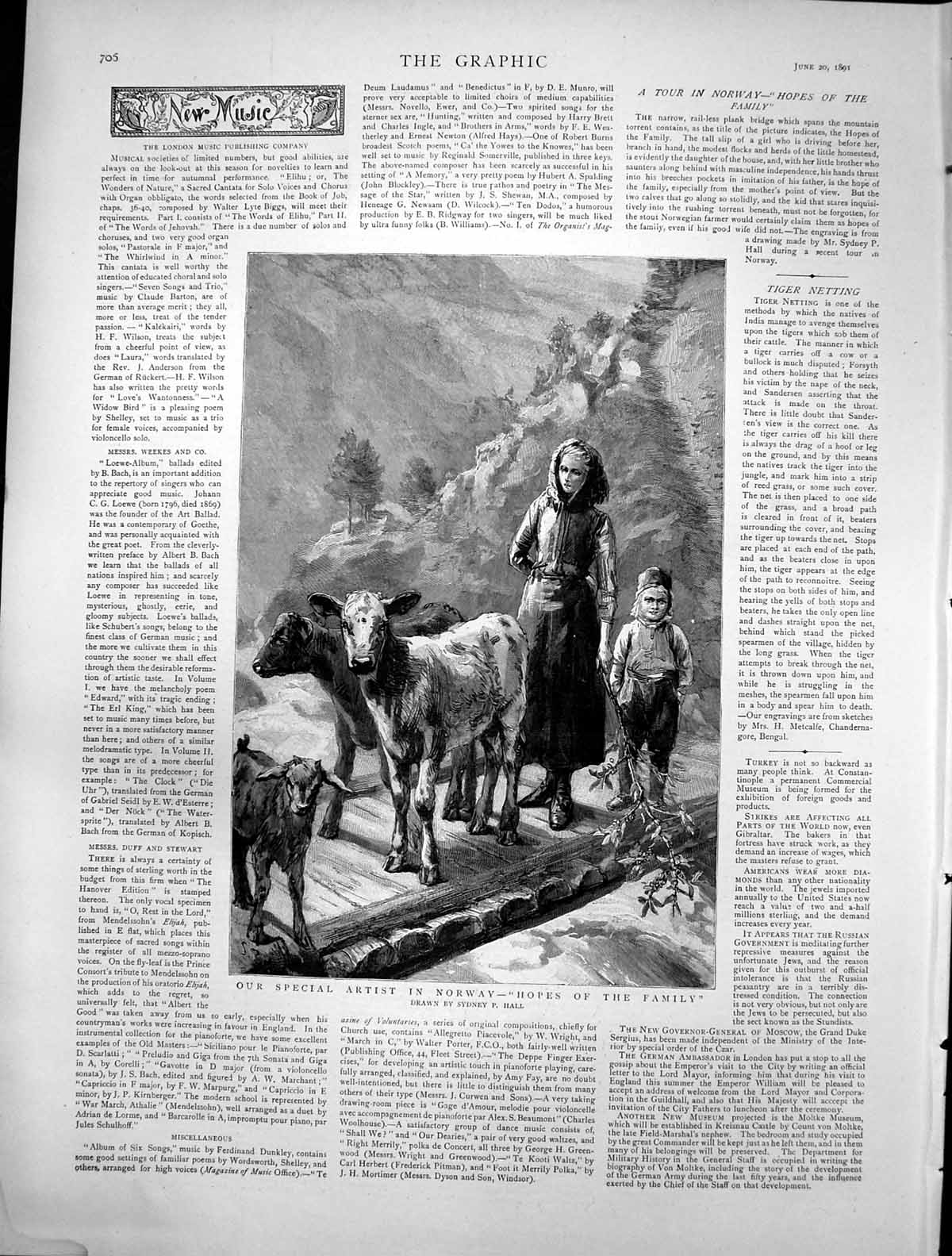 Antique Old Print Hopes Family Sydney Hall Norway Calf Goat Lady Child 1891