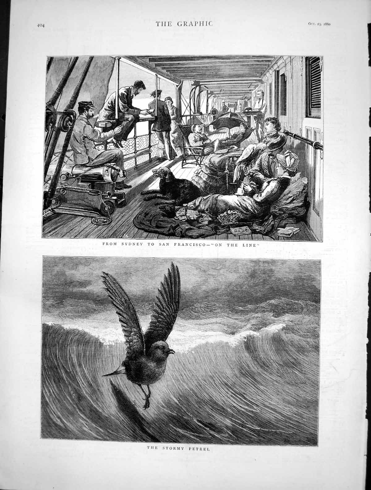 Old Antique Print Sydney To San Francisco On Line Ship Stormy Petrel 1880 19th