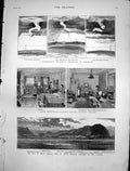 Antique Print War South America Arica Chilians Fitzroy House Hospital 1880 19th