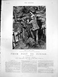 Old From Post To Finish Impudent Little Monkey Hiding Letter Tree1884 Victorian