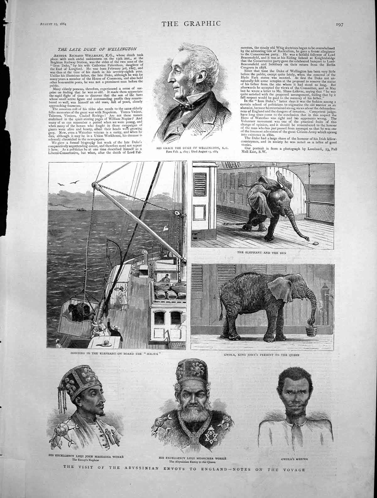 Antique Print Duke Wellington Abyssinian Envoys England Elephant Malwa1884 19th