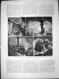 Antique Print Cave Adelsberg Austria Transparent Curtain Calvarienberg 1882