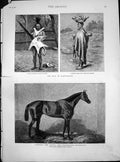 Old Antique Print Robert Devil Racehorse War Basutoland Woman Child 1880 19th