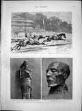 Antique Old Print Race Eclipse Stakes Bendigo Royal Mummies Boulak Egypt 1886