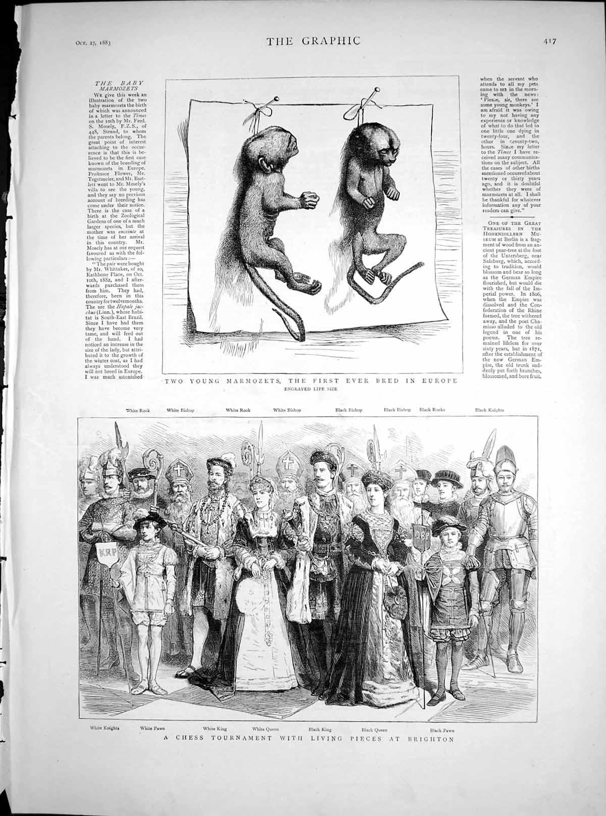 Old Antique Print Two Young Marmozets Chess Tournament Living Pieces 1883 19th