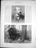 Old Print Dr Robert Koch Consumption Accident Elephant Capt Paterson1890 19th